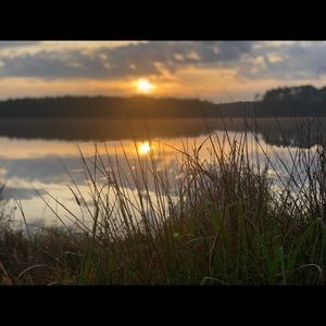 Meet your Posher, Mandi